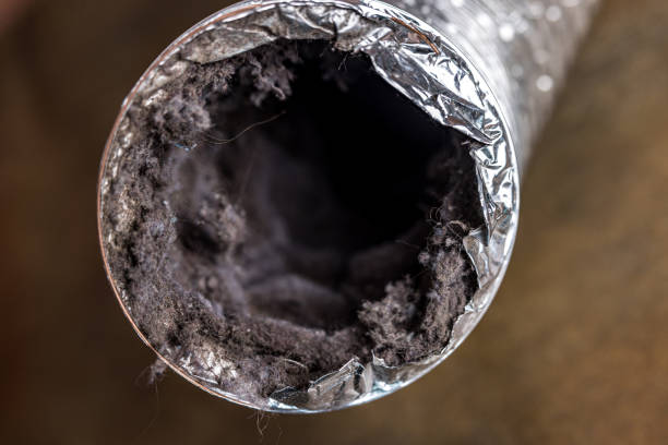 Best Air Duct Cleaning Company Near Me  in South Monrovia Island, CA