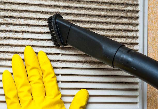Best Air Vent Cleaning Services  in South Monrovia Island, CA